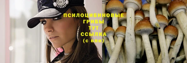 мяу мяу мука Алексеевка