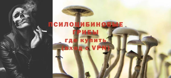 стаф Алексин