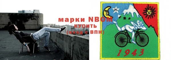 стаф Алексин