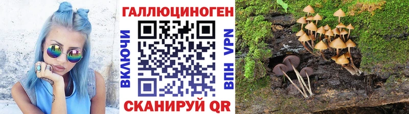 Галлюциногенные грибы Cubensis  Махачкала 